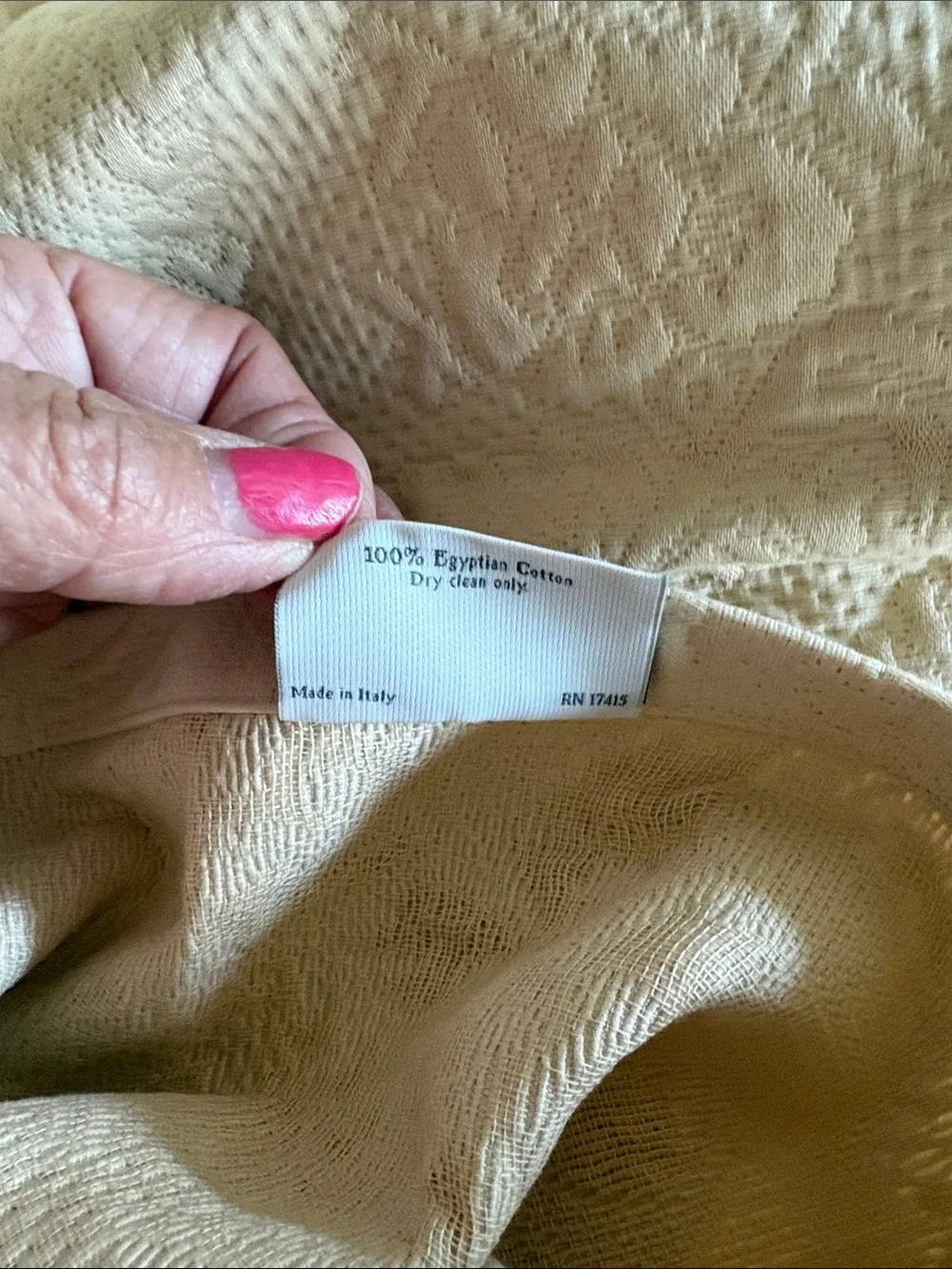 Embroidered Ivory standard size sham new never used SFERRA